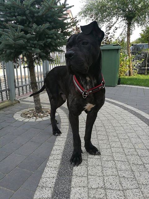 Ogłaszamy konkurs ! - kto wie kto to????